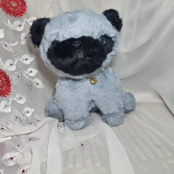 PUG ( Grey )